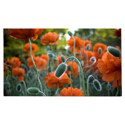 Καλή τιμή LM270WR8-SSC1 27.0 ιντσών οθόνη LCD 3840*2160 οθόνη LCD σε απευθείας σύνδεση