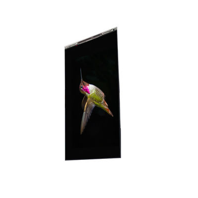 Καλή τιμή BS062FBE-L30-6Q00 6.3 ιντσών LCD οθόνη LCD ΠΑΝΕΛ για κινητό τηλέφωνο σε απευθείας σύνδεση