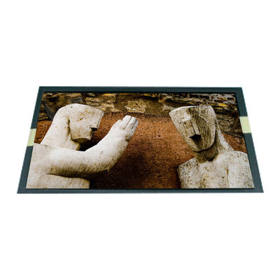 Καλή τιμή LP089WS1-TLB1 8,9 ιντσών LCD οθόνη για LG σε απευθείας σύνδεση