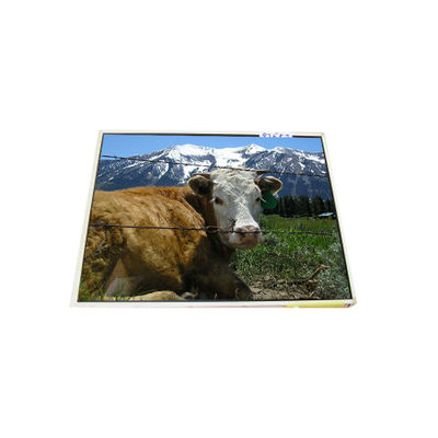 Καλή τιμή LP121X1-A2M1 12,1 ιντσών 1024*768 Η/Υ LCD οθόνη σε απευθείας σύνδεση