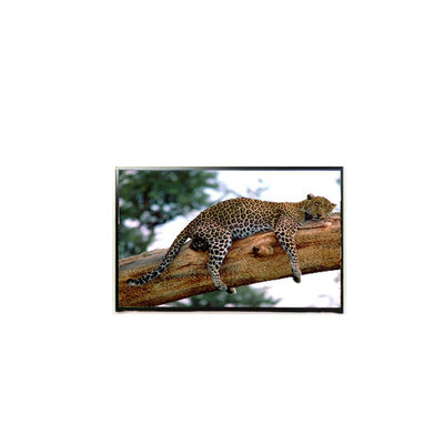 Καλή τιμή LP141WP1-TLE6 14,1 ιντσών 60Hz LCD Panel 1440*900 LCD Screen σε απευθείας σύνδεση