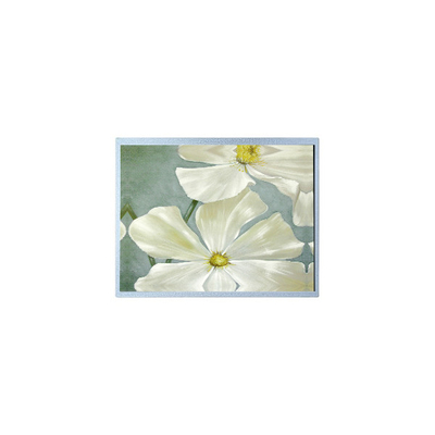Καλή τιμή F-51851GNFQJ-LW-AAN 240*64 5.2 ιντσών 72 πινς LCD οθόνη σε απευθείας σύνδεση