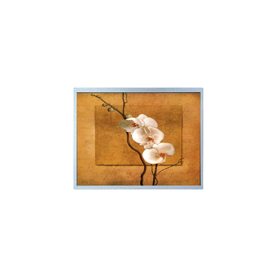 Καλή τιμή 240*64 5,2 ιντσών F-51851GNFQJ-LY-ADN 85Hz LCD οθόνη Πίνακα Μοντέλο σε απευθείας σύνδεση