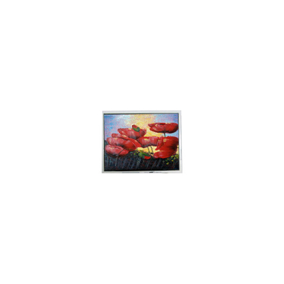 Καλή τιμή Ζεστή πώληση 6.5 ιντσών 640*480 T-55629D065J-LW-A-ABN LCD οθόνη οθόνης σε απευθείας σύνδεση