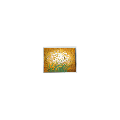 Καλή τιμή 19.0 ιντσών T-55699D190J-LW-A-AAN LCD Panel για εξωτερική υψηλή φωτεινότητα σε απευθείας σύνδεση