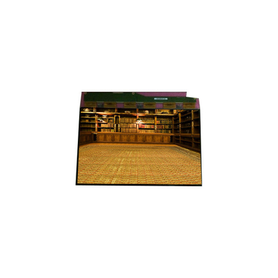 Καλή τιμή θερμή πώληση 1600*1200 TM201XDHP01 20,1 ιντσών LVDS LCD οθόνη σε απευθείας σύνδεση