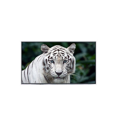 Καλή τιμή B121EW05 V2 12,1 ιντσών νέας κυκλοφορίας οθόνη LCD για φορητό υπολογιστή σε απευθείας σύνδεση