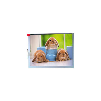 Καλή τιμή Νέο TM070SDH03 800*600 7.0 ιντσών Πίνακας οθόνης TFT-LCD σε απευθείας σύνδεση