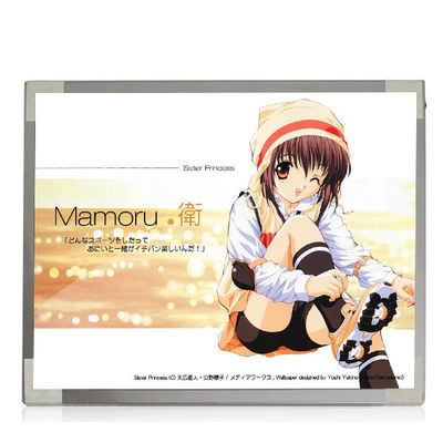 Καλή τιμή M170EP01 V0 1028*1024 TN, κανονικά άσπρος, μεταδιδόμενος συνδετήρας 69 καρφιτσών   Οθόνη lap-top LCD σε απευθείας σύνδεση