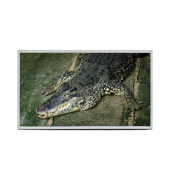 AUO 19,5 οθόνη επίδειξης διεπαφών 1600X900 TFT LCD επιτροπής M195RTN01.0 LVDS ίντσας για το βιομηχανικό lap-top