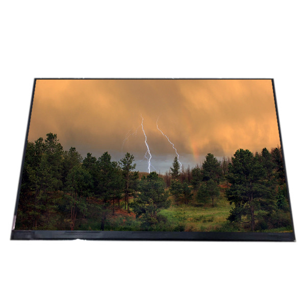 Ενότητα 10,1 ίντσα RGB 1280X800 WXGA BOE GV101WXM-N81-D850 TFT LCD για τη βιομηχανική χρήση