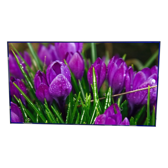 Οθόνη IPS LCD 55,0 ιντσών LTI550HN12 SAMSUNG Splicing Screen for Video Wall