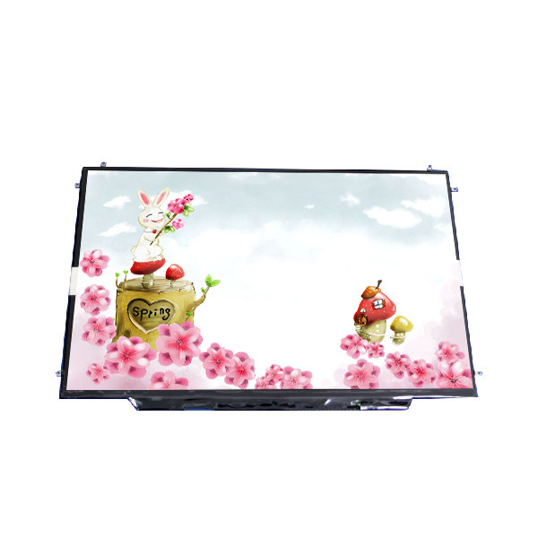 RGB 1680*1050 128PPI B154SW02 V1 μέγεθος 15,4 ιντσών Μοντέλο LCD