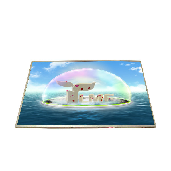 Μέγεθος 15.4 ίντσες 60Hz 262K a-Si TFT-LCD B154EW02 V6 LCD Panel