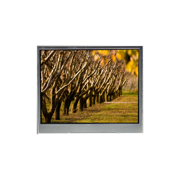 BF051FBM-AK1-7D02 5,1 ιντσών οθόνη LCD οθόνη LCD για κινητό τηλέφωνο