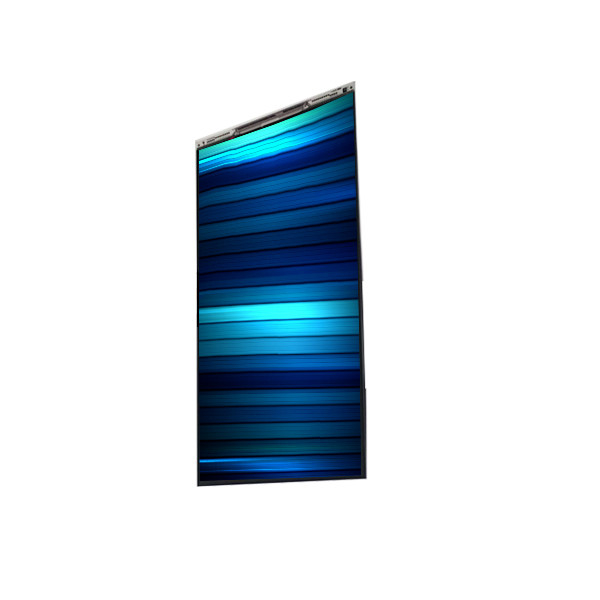 BS064Y8E-L30-6Q00 6.4 ιντσών LCD οθόνη LCD οθόνη ΠΑΝΕΛ για κινητό τηλέφωνο