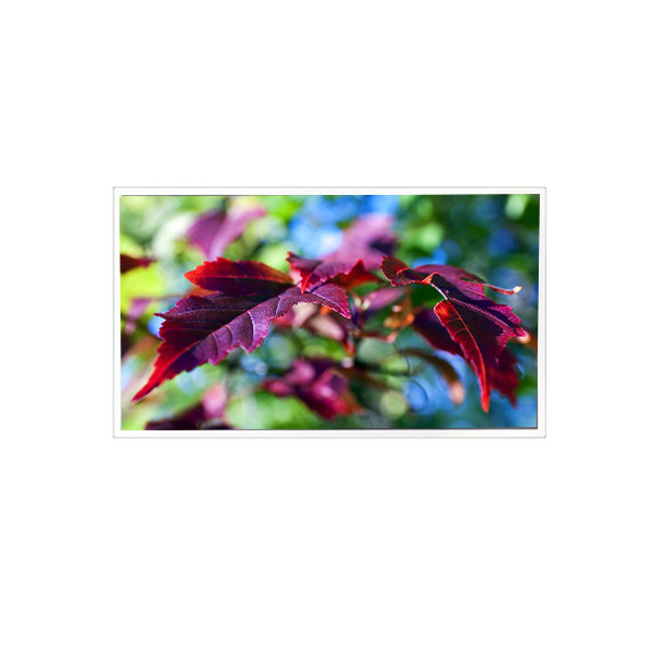 TV116FHM-N00 1920*1080 11.6 ιντσών 60Hz 40 πιν LCD οθόνης οθόνης οθόνης