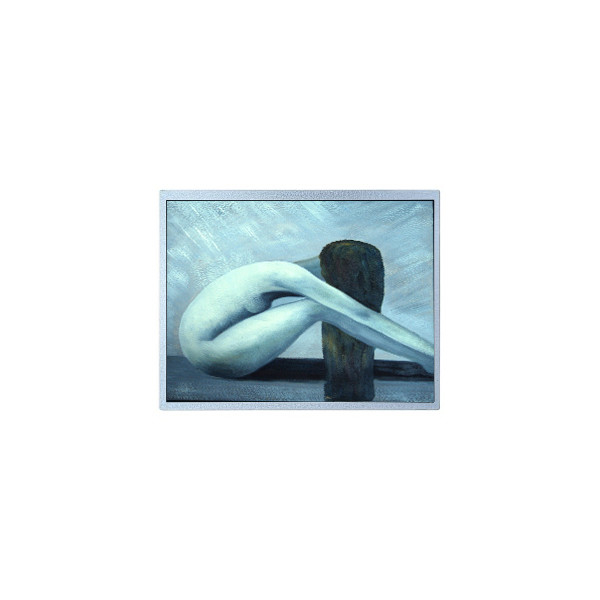 AM-19201200GTZQW-30H 10,1 ιντσών 1000 cd/m2 οθόνη LCD για AMPIRE