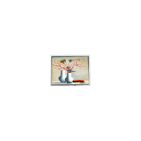 800*600 12.1 ιντσών T-55788GD121J-LW-AGN 30 πινς LCD Panel Module