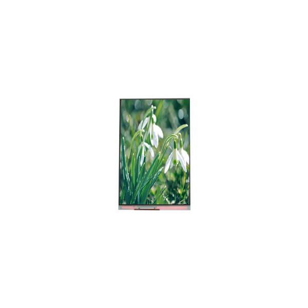 Μικρή οθόνη LCD 5,0 ιντσών PP050IC-01F 720*1280 για κινητό τηλέφωνο