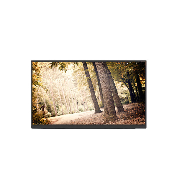 NE160QDM-N62 V8.0 16.0 ιντσών οθόνη LCD οθόνης για φορητό υπολογιστή