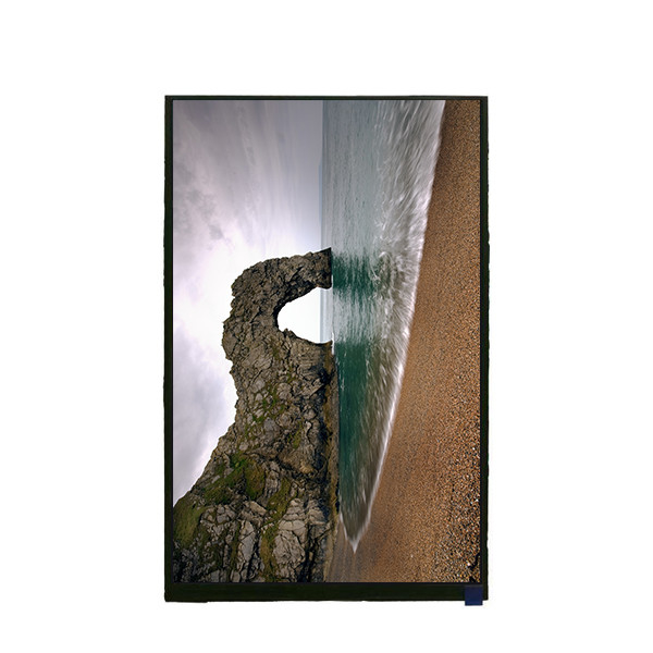 10.1 ιντσών 1200*1920 LCD οθόνη TV101WUM-NX0 για Tablet Pad