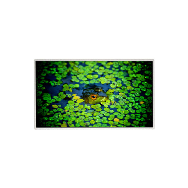 HR236WU3-301 23.6 ιντσών 1920*1080 οθόνη LCD για οθόνη επιφάνειας εργασίας