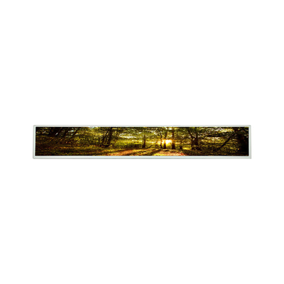 Καλή τιμή LSI290LN01 ενότητα επίδειξης α-Si tft-LCD LCM 29 ίντσας σε απευθείας σύνδεση