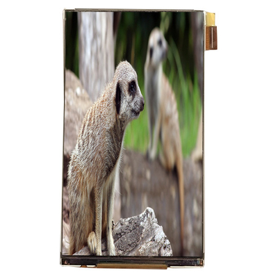 Καλή τιμή LQ055K3SX02 5.5 ιντσών LCD Module Interface 720*1280 LCD Screen για οθόνη αυτοκινήτου σε απευθείας σύνδεση