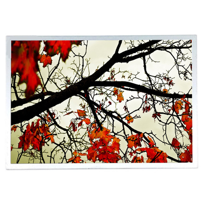 Καλή τιμή Μεγέθους 15.0 ιντσών G150XTN06.B οθόνη LCD με βιομηχανική σε απευθείας σύνδεση