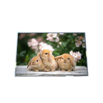 Καλή τιμή Αρχική σε αποθεματικό μεγέθους 17,3 ιντσών B170PW05 V1 οθόνη LCD σε απευθείας σύνδεση