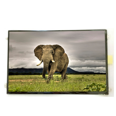 Καλή τιμή B101UAN01.9 10,1 ιντσών 16,7M 52%NTSC LCD οθόνη σε απευθείας σύνδεση