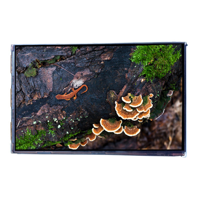 Καλή τιμή VVX07H005A00 7.0 ιντσών 450 cd/m2 LCD οθόνη οθόνης σε απευθείας σύνδεση