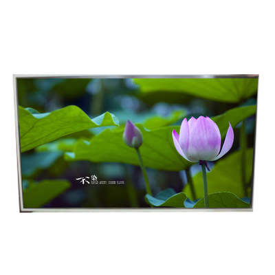 Καλή τιμή 49.0 ιντσών LD490EPN-UKH1 LCD οθόνη 1920*1080 σε απευθείας σύνδεση