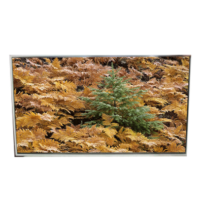 Καλή τιμή 49.0 ιντσών 3840*2160 LD490EQG-FNA4 οθόνη LCD για ψηφιακή σήμανση σε απευθείας σύνδεση
