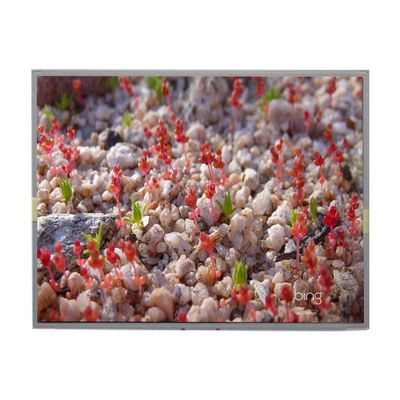 Καλή τιμή LM2011-SLWE01 Αρχική οθόνη LCD 20,1 ιντσών 1680*1050 σε απευθείας σύνδεση