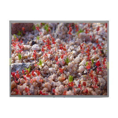 Καλή τιμή LM201WE2-SLBC TFT LCD Module 20,1 ιντσών LCD Panel για την LG σε απευθείας σύνδεση