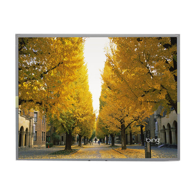 Καλή τιμή LM2013-WETLB1 20,1 ιντσών οθόνη LCD 1680*1050 οθόνη LCD σε απευθείας σύνδεση