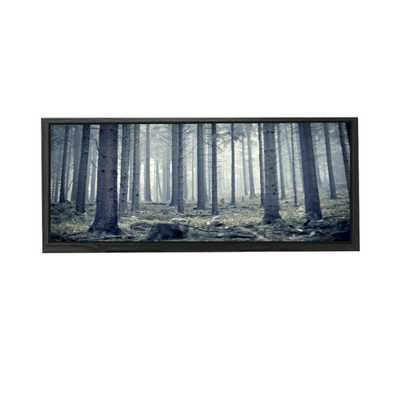 Καλή τιμή AV103Z7M-N13-3850 10,3 ιντσών οθόνη LCD LCD σε απευθείας σύνδεση