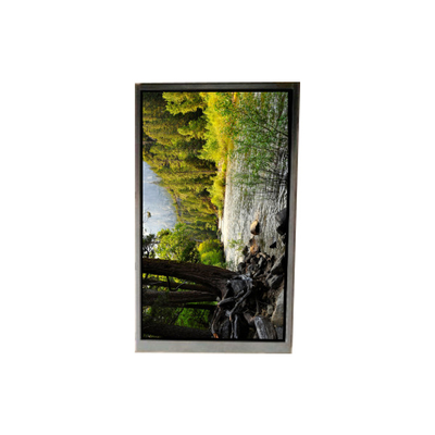 Καλή τιμή BA050WQ2-200 5,0 ιντσών 480*272 LCD οθόνη για φορητή πλοήγηση σε απευθείας σύνδεση