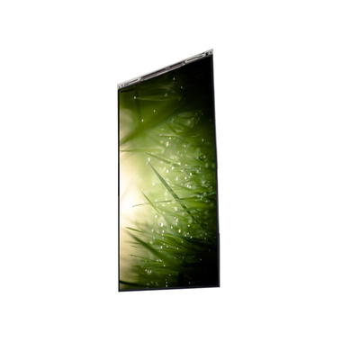 Καλή τιμή BS055FHG-E41-6C00 5,5 ιντσών LCD οθόνη LCD οθόνη ΠΑΝΕΛ για κινητό τηλέφωνο σε απευθείας σύνδεση