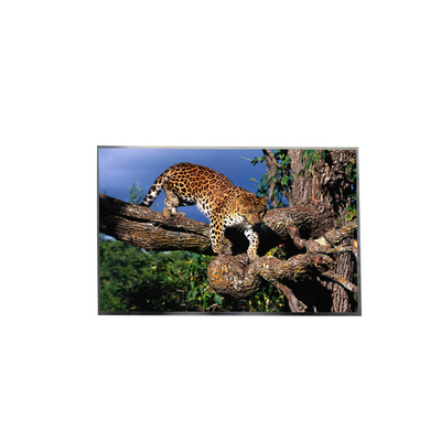 Καλή τιμή LP156WFC-SPD8 15,6 ιντσών FHD IPS TFT LCD οθόνη για φορητό υπολογιστή σε απευθείας σύνδεση