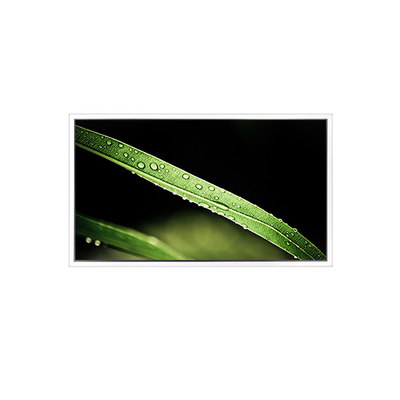 Καλή τιμή 3840*2160 65inch DV650QUM-NV0 500 cd/m2 Εικονική οθόνη LCD για τοίχο βίντεο σε απευθείας σύνδεση