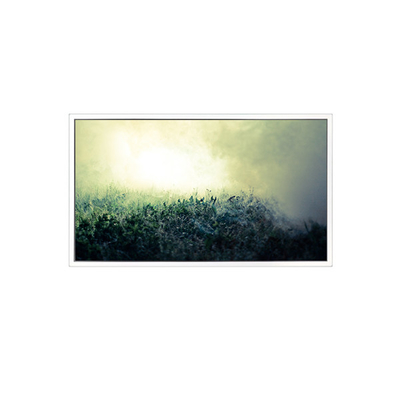 Καλή τιμή Αρχική EV101WUM-N80 1920*1200 10,1 ιντσών 1000 cd/m2 οθόνη LCD σε απευθείας σύνδεση