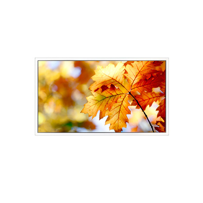Καλή τιμή Ελεγκτής οθόνης LCD EV238FHM-N12 23,8 ιντσών 1920*1080 σε απευθείας σύνδεση