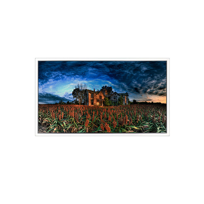 Καλή τιμή 15.6 ίντσες GV156QDB-N80 2560*1600 40 πιν LCD οθόνη σε απευθείας σύνδεση