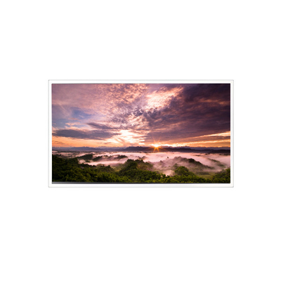 Καλή τιμή 18.5 ιντσών QV185FHM-N80 1920*1080 LCD Panel για βιομηχανικό σε απευθείας σύνδεση