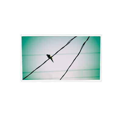 Καλή τιμή TDA104-001V01 10,4 ιντσών 1024*768 1000:1 LVDS LCD οθόνη για βιομηχανικά σε απευθείας σύνδεση