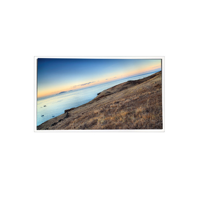Καλή τιμή MV185WHM-N10 18,5 ιντσών 1366*768 16,7M 99%sRGB LCD Panel για βιομηχανικό σε απευθείας σύνδεση