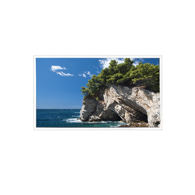 Καλή τιμή TV101WXM-NM1 800*1280 10,1 ιντσών 39 καρφίτσες 8S4PWLED LCD Panel σε απευθείας σύνδεση